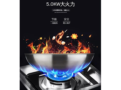 国产小鲜GAY男男麻豆神器麻豆视频破解在线无限观看LP03DM，让你在家也能满汉全席