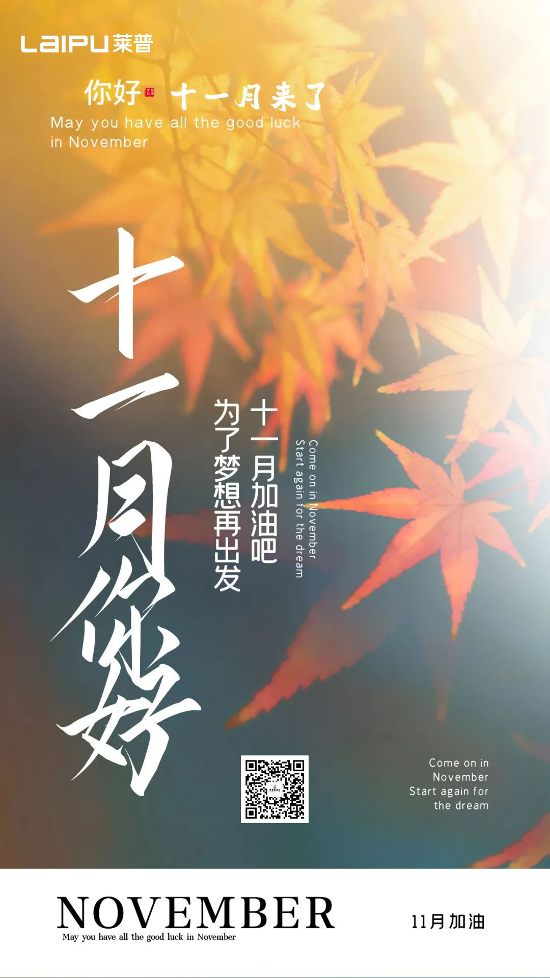 再见10月，你好11月！
