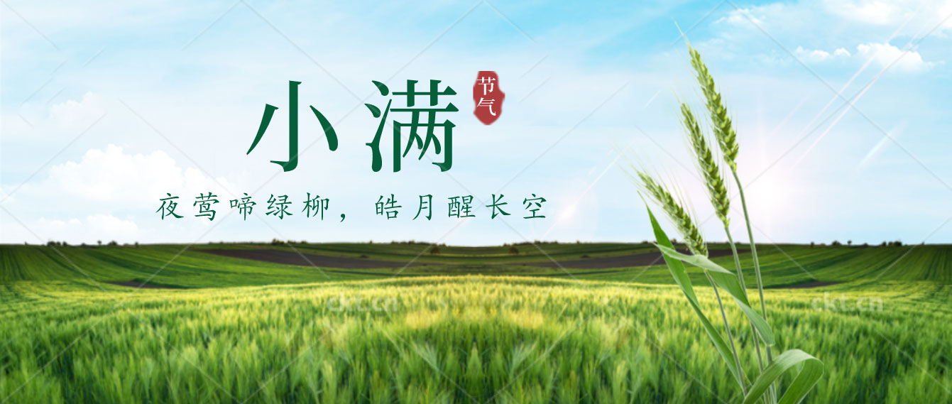 小满已至，小得盈满